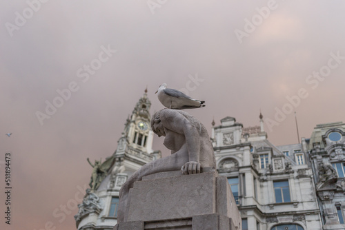 A seagull sitting on a statue in Porto, Portugal © ern