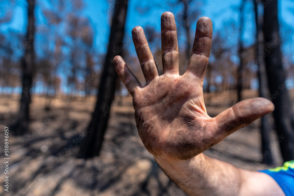 Stop arson, a man with black hands in the forest fire, burned forest, climate change Stop arson, a man with black hands in the forest fire, burned forest, climate change