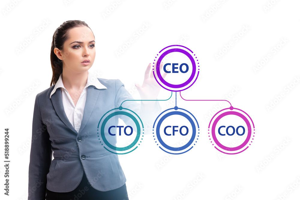Businesswoman in the organisation chart concept Businesswoman in the organisation chart concept