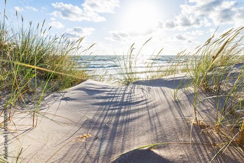 Fototapeta Naklejka Na Ścianę i Meble -  Sandy beach and dune with grass at the Baltic sea beach. Beautiful sea landscape