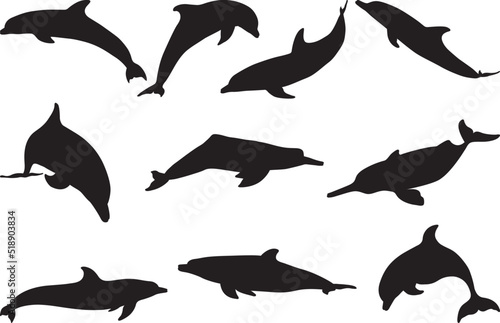 Set of Dolphin Silhouettes. Vector Images