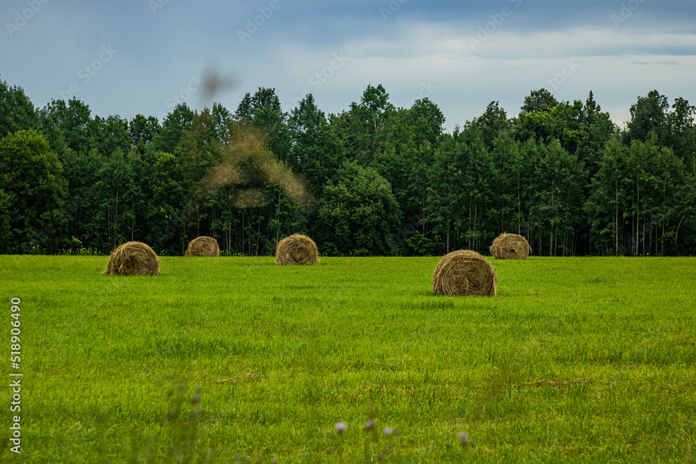 Expanses of Bashkir fields and bales of hay. July 2022
Просторы башкирских полей и тюки с сеном. Июль 2022 год. 