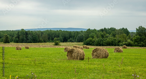 Expanses of Bashkir fields and bales of hay. July 2022
Просторы башкирских полей и тюки с сеном. Июль 2022 год.  photo
