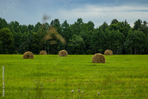 Expanses of Bashkir fields and bales of hay. July 2022 Просторы башкирских полей и тюки с сеном. Июль 2022 год. 