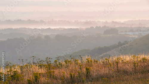 Glorious landscape image of layers of mist rolling over South Downs National Park English countryside during misty Summer sunrise © veneratio