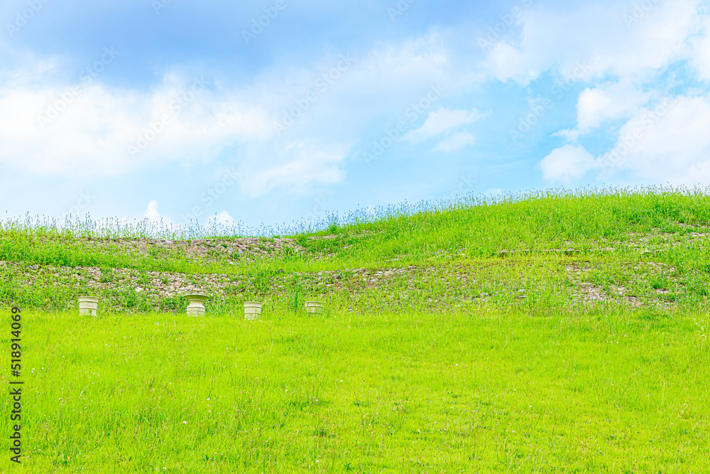 Fototapeta premium 夏の沖出古墳 福岡県嘉麻市 Summer Okiide burial mound. Fukuoka-ken Kama city.
