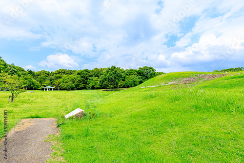 夏の沖出古墳　福岡県嘉麻市　Summer Okiide burial mound. Fukuoka-ken Kama city.