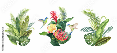 Watercolor vector set with tropical leaves, flowers and hummingbirds.