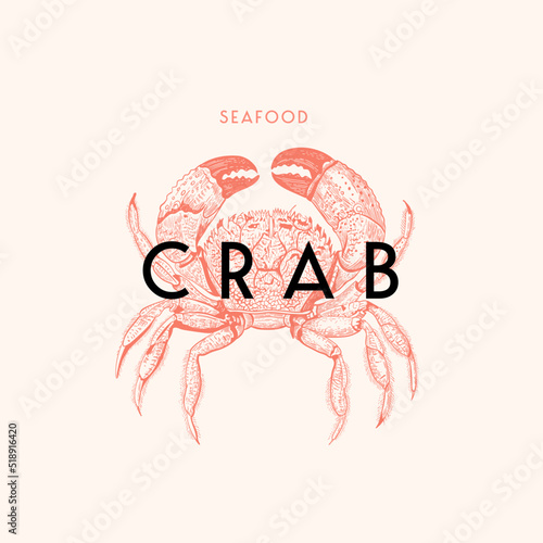 The sea crab is drawn in the style of an engraving on a light background. Seafood. Signboard for a restaurant. Illustration for the menu of fish restaurants, for product packaging. Vector illustration