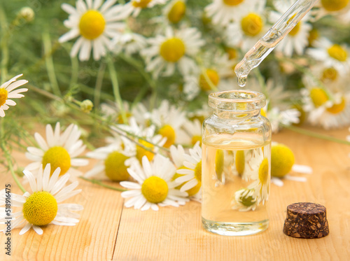 Essential oil in a glass bottle with fresh chamomile flowers. spa concept. chamomile flowers oil on a wooden table