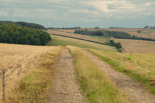 Farm track in th ecountryside