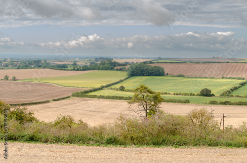 English countryside landscape in summer