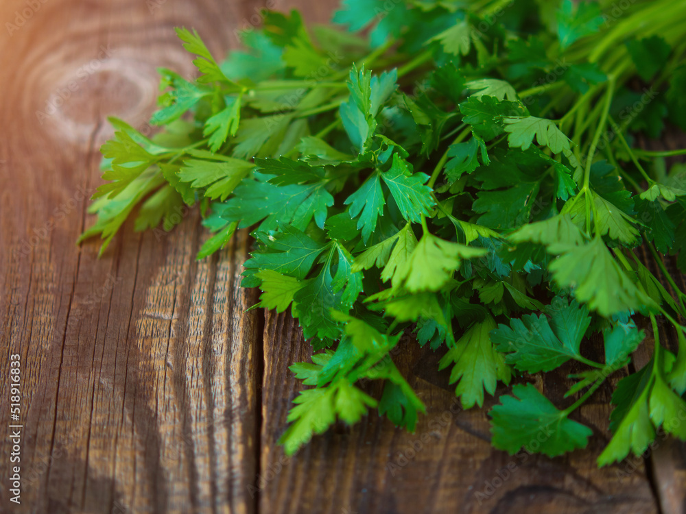 Fresh italian parsley on a wooden table. parsley. Fresh italian parsley on a wooden table. parsley.