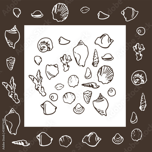 Hand drawn vector illustrations. Collection of shell. Perfect for invitations  fabric  textile  linens  posters  prints  banners