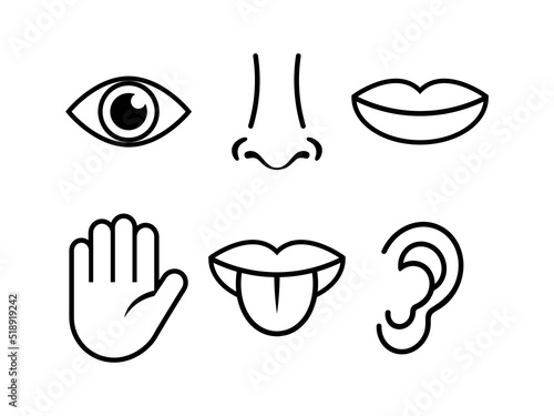 Human body parts simple outline icon set vector. Five human senses icons isolated on a white background. Eye, nose, ear, mouth, hand graphic design element