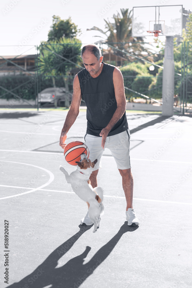 Fototapeta premium Portrait of adult senior man playing sport basketball ball with a dog jack russel terrier on playground outdoor. A pet jumping to catch the ball.