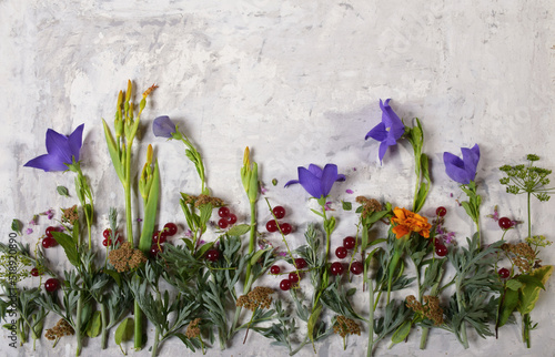 Bouquet of home flowers on a gray background. View from above. Panorama