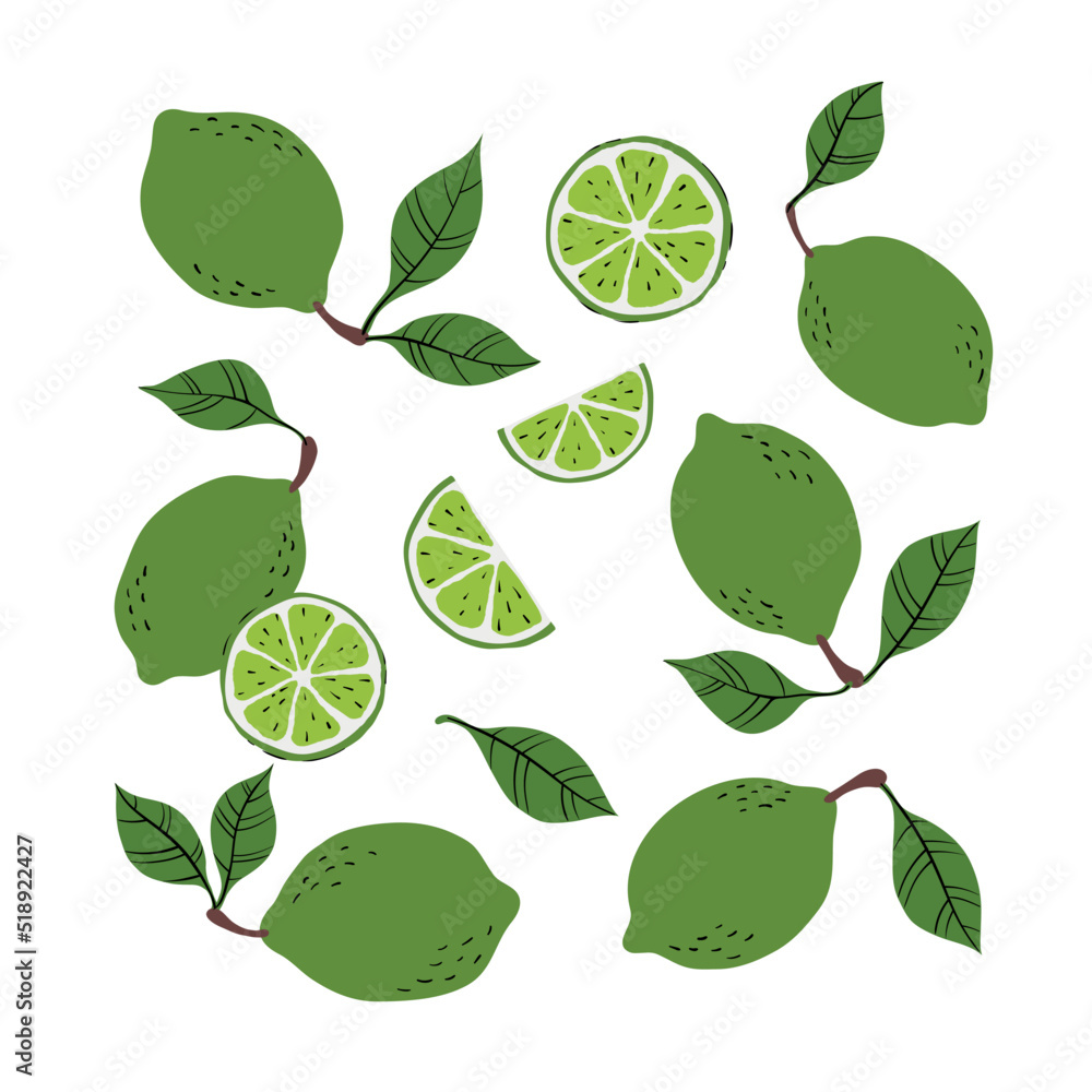Tropical set of yellow limes and lime slices. Hand drawn limes pattern on white background. for fabric, drawing labels, print, wallpaper of children's room, fruit background Tropical set of yellow limes and lime slices. Hand drawn limes pattern on white background. for fabric, drawing labels, print, wallpaper of children's room, fruit background