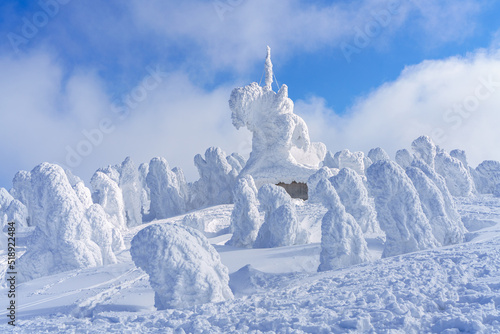 Foto 冬の八甲田山　日本三大樹氷のスノーモンスター　青森観光