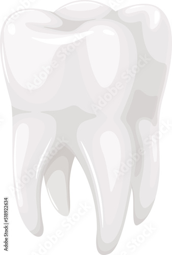 Human tooth vector illustration. Cartoon isolated 3d white single molar with healthy shiny enamel and root, model for studying dental hygiene and medical care, medicine and dentistry, anatomy