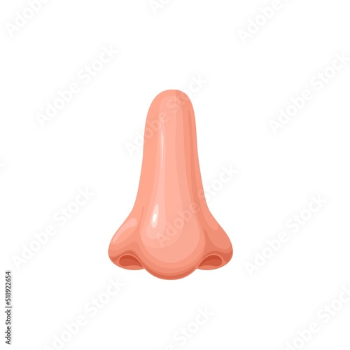 Human nose vector illustration. Cartoon isolated part of face and organ for studying body in anatomy, surgery and medicine, front view of male nose with nostrils to breathe, inhale and smell