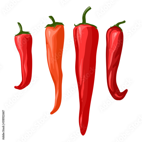 Red hot chili peppers. Vector illustration. Hand drawing.