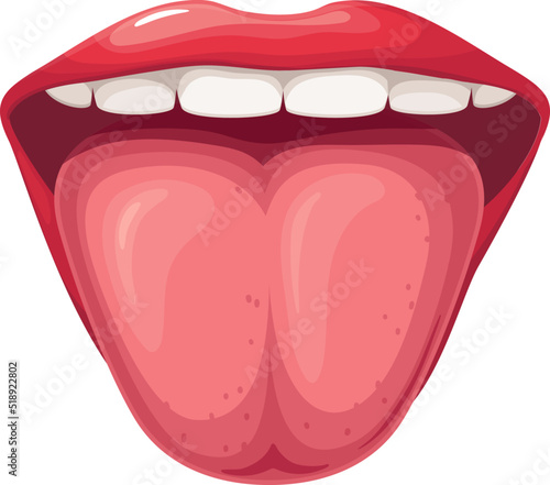 Open mouth with tongue and teeth, red lips of girl vector illustration. Cartoon isolated healthy oral cavity with sticking tongue, medical model to study anatomy, diseases of human organs and senses