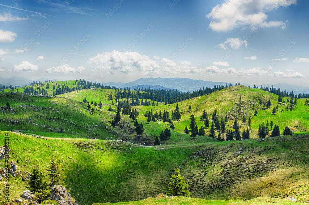 Velika Planina or Big Pasture Plateau in the Kamnik Alps, Slovenia. Mountain cottage hut or house on green hill. Alpine meadow landscape. Eco farming