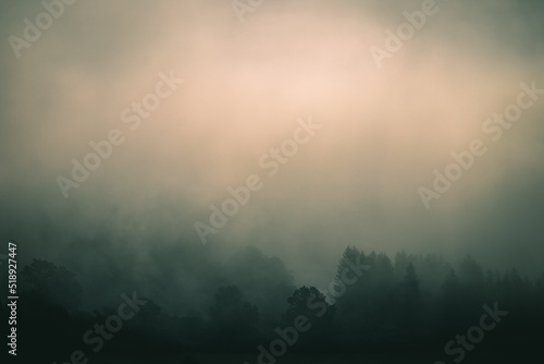 Foggy autumn landscape, sad feelings in the nature. Background with dark, soft colors. Bad mood, depression concept