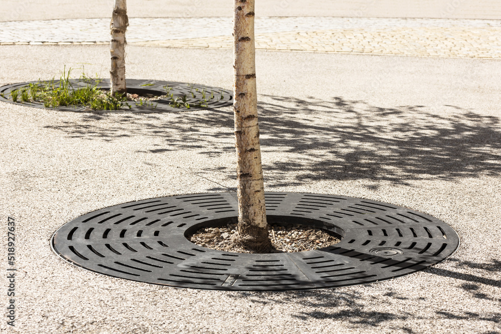 Foto de Drainage grate for tree. Rainwater Drainage System on paving
