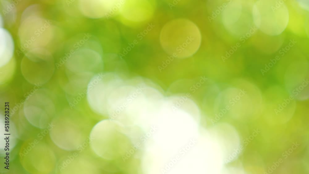 green bokeh background green bokeh background