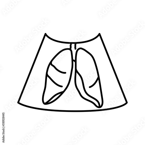 Lung ultrasound color line illustration