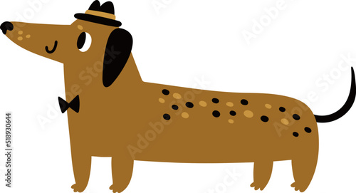 Cute dachshund in hat and bow tie. Funny wiener dog