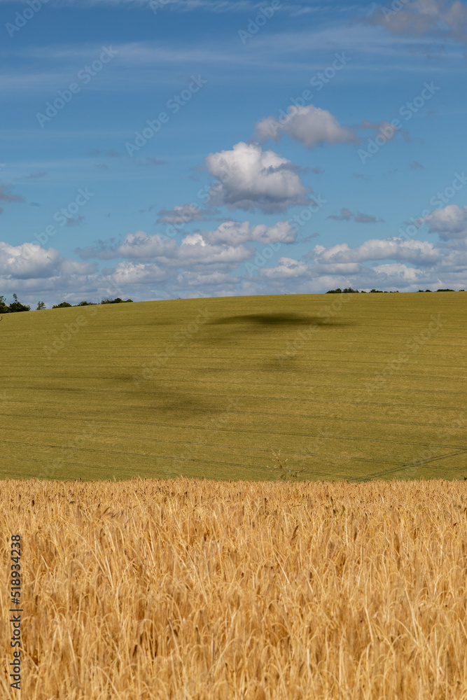 A rural Sussex farm landscape in summertime