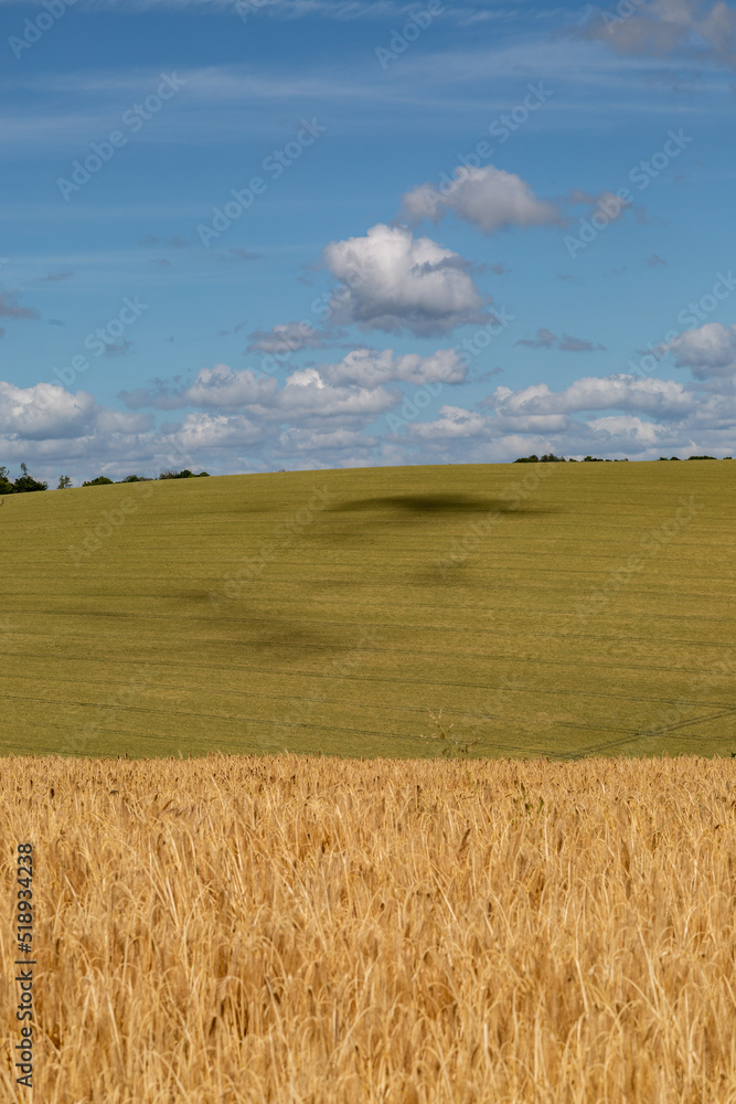 A rural Sussex farm landscape in summertime A rural Sussex farm landscape in summertime