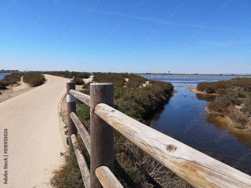 Obraz premium Balade en vélo sur piste cyclable entre Aigues Mortes et Grau du roi, Gard, occitanie , France