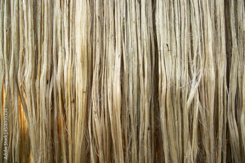 Closeup shot of raw jute fiber hanging under the sunlight for drying. Brown jute fiber texture and background