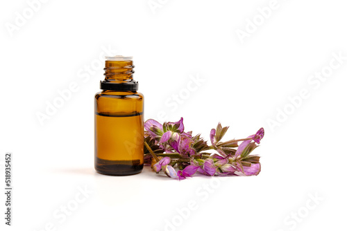 A bottle of essential oil with fresh blooming clary sage twigs on white background.