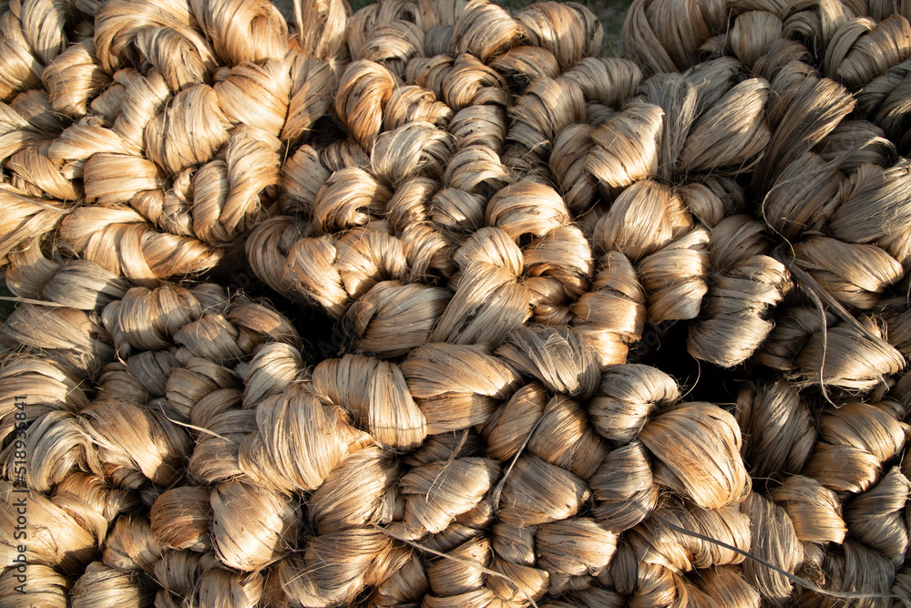 thick brown bundle of raw jute fiber Texture Background thick brown bundle of raw jute fiber Texture Background