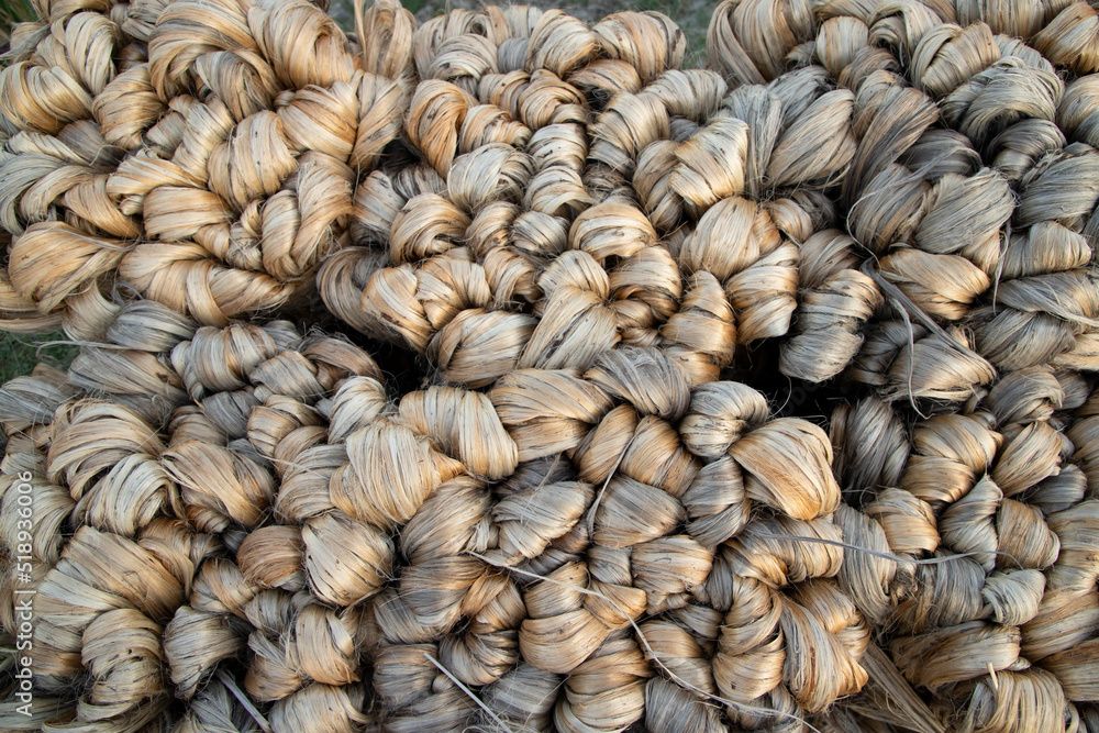 Naklejka premium thick brown bundle of raw jute fiber Texture Background