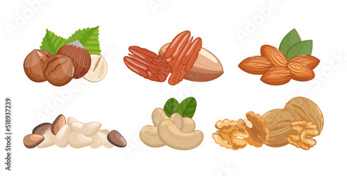 Nuts set of walnuts, almonds, hazelnut and other, healthy snack, vector illustration isolated on white background