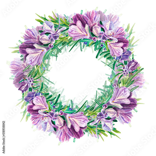 frame round with Rosemary with large purple flowers on a white background. Twig with flower. Watercolor illustration of spices for cooking. Botanical provencal herbs. Suitable for postcards, design