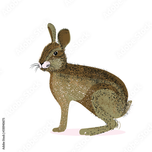 Cute Bunny of watercolor illustration. Easter Rabbit. Cute Hare. Chinese New Year zodiac sign. Spring card Vector design
