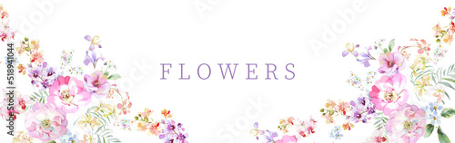 flowers illustration