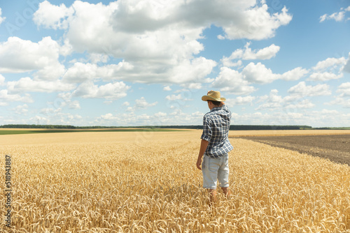 A young farmer in a shirt and a hat stands in the middle of an endless field of golden wheat against a blue sky. Copy space