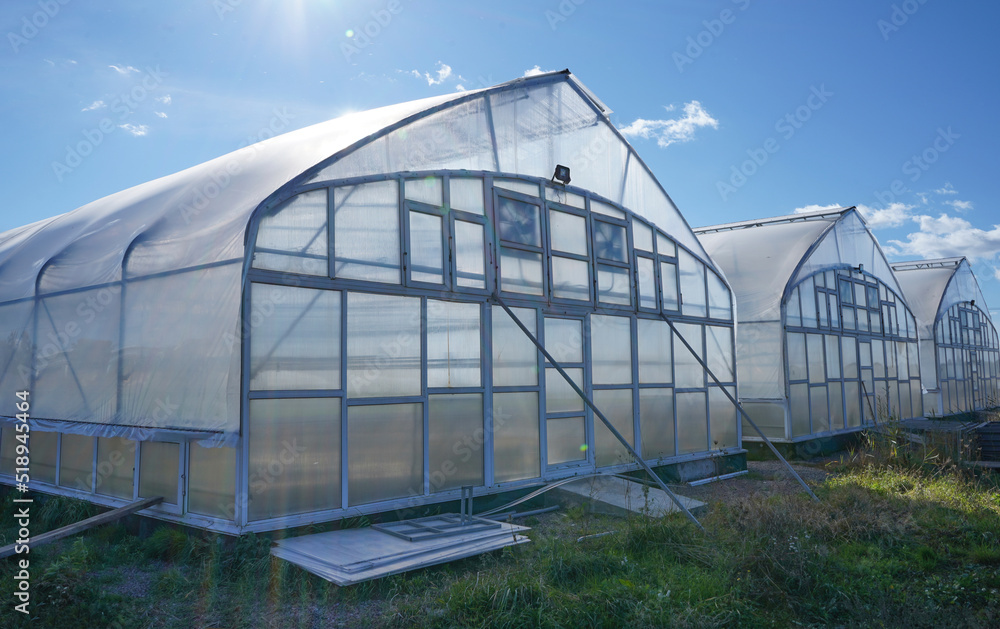 Greenhouse outside view. Agricultural eco farming and farming for growing vegetables and fruits. Greenhouses business concept. Greenhouse outside view. Agricultural eco farming and farming for growing vegetables and fruits. Greenhouses business concept.