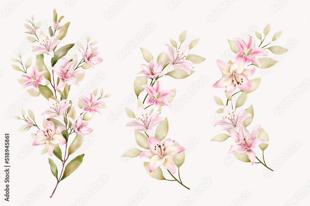 hand drawn lily floral branch design hand drawn lily floral branch design