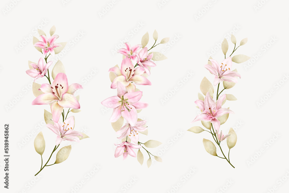hand drawn lily floral branch design