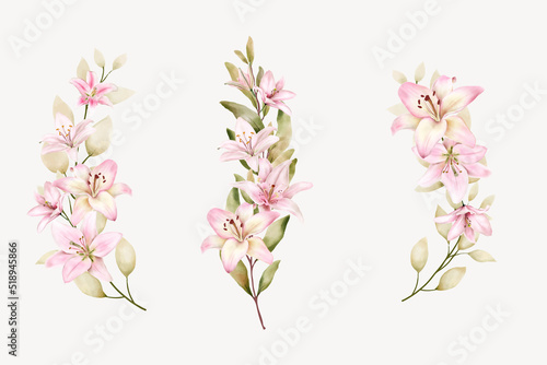 hand drawn lily floral branch design © lukasdedi