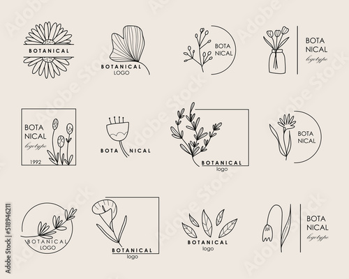 Hand drawn botanical logo. Floral line emblem, natural logotype template for spa and beauty salon, boutique. Elegant plant, organic label minimal style, rustic wedding card vector set